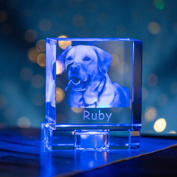 Pet Memorial Personalized 3D Photo Crystal Square Keepsake - Image 3
