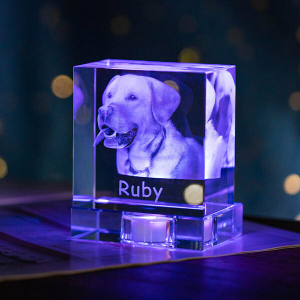 Pet Memorial Personalized 3D Photo Crystal Square Keepsake - Image 5